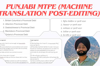 professionally edit punjabi ai translated content
