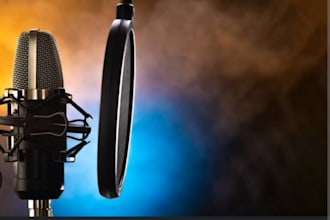 professional punjabi voice over
