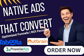 set up, audit and optimize native ads campaign for high ROI traffic