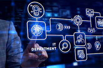 provide professional IT and technical services