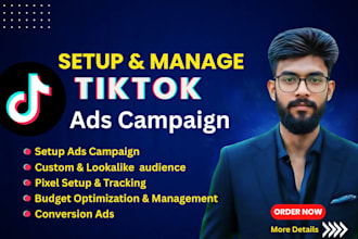 run tik tok ads, tiktok marketing, tik tok ads manager for sales and leads
