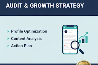 perform a professional instagram audit and growth strategy
