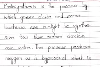 neat and personalized long notes letters and assignments real handwritten