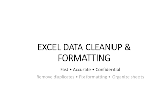 clean, format, and organize excel data accurately