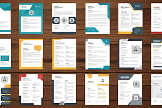 do professional  cv design , resume design, expert cv maker