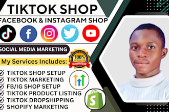setup and optimize tik tok dropshipping, setup facebook shop and instagram shop