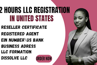 do US llc formation, company registration, get your ein and itin as caa from irs