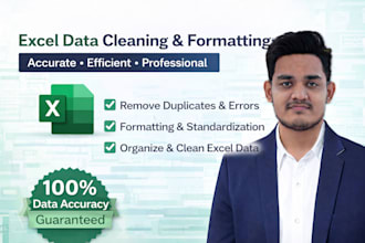 clean, format, and organize excel data professionally