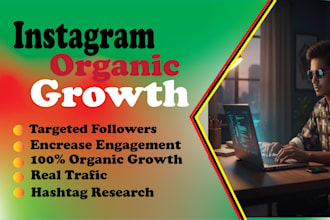 do promote and grow your instagram  account organically