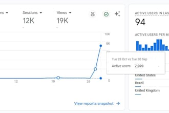 handle full SEO services like technical on page off page and local and audit