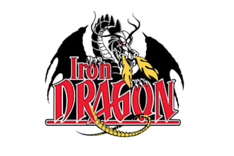 make a premium mascot character dragon logo for esports