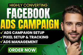 setup and manage meta ads marketing campaigns meta ads manager and facebook ads