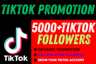 increase social media followers