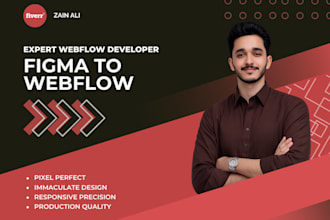 design and develop a pixel perfect webflow website