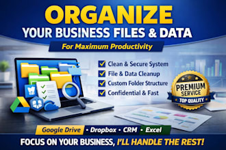 organize google drive dropbox business files and data for maximum productivity