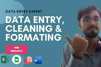 do data entry, cleaning and formaitng your data accuretly