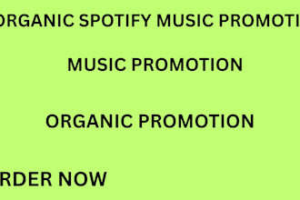 do organic spotify campaign