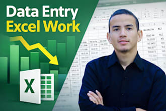 excel data cleaning, pivot tables, formatting, PDF to excel