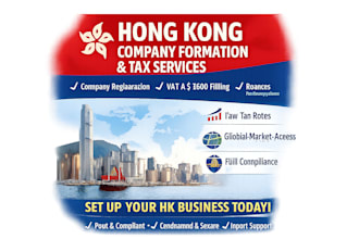 do hong kong company registration, vat registration and ct600 filling hk