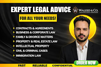 provide professional legal advice and attorney consultation