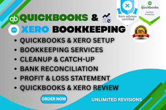 clean setup and reconcile your quickbooks or xero books