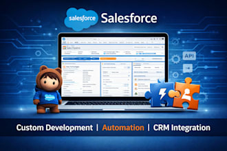 deliver custom salesforce solutions, automation and CRM development