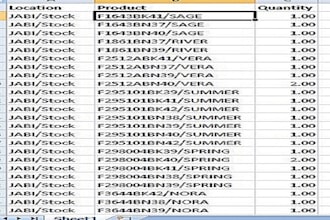 format documents and handle data entry in excel
