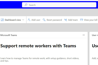 provide microsoft 365 remote support and consultancy