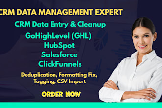 do CRM data entry, cleanup, and deduplication