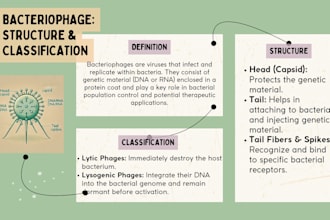 design simple presentation slides using canva
