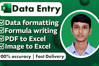 do data entry, excel data formatting and pdf conversion