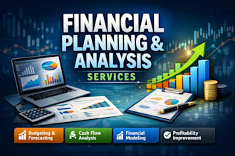 provide financial planning and analysis services