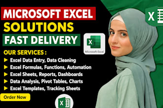 do your microsoft excel , assignments, project and modules