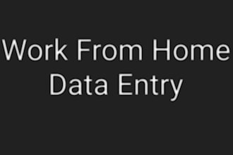 provide expert data entry services with accuracy