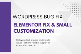 fix wordpress issues or customize your page fast