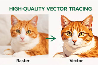 do raster to vector
