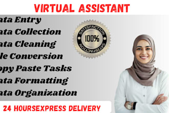 do data entry, data cleaning, data mining and data searching