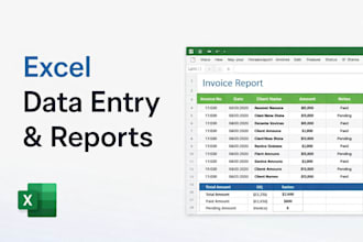 do excel data entry, reports, and business spreadsheets