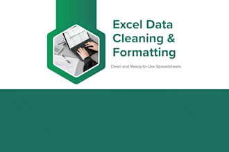 clean, organize, and format your excel spreadsheet