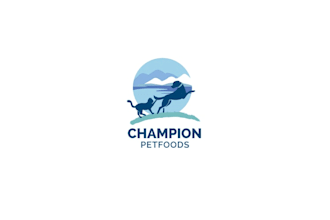 design premium identity champion logo