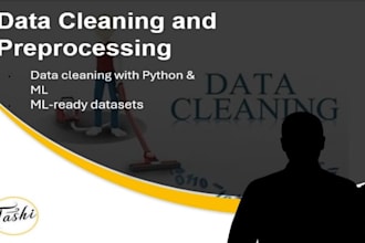 clean and preprocess data professionally with python and machine learning