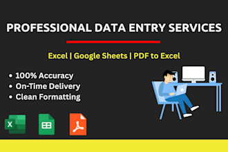 do accurate data entry, excel and google sheet work