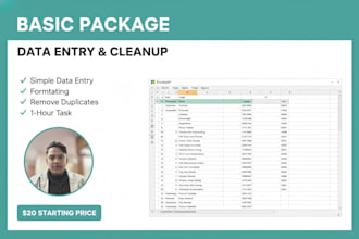handle excel data entry and spreadsheet tasks