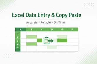 do accurate data entry, excel formatting and data input