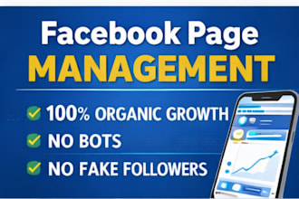 do facebook page management and optimization services