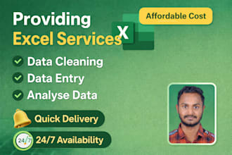 clean, analyse, format and data entry in excel