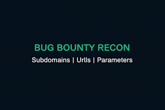 do bug bounty recon and extract urls and parameters