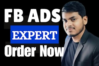 setup and management fb ads campaign