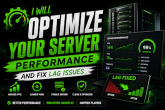 optimize your server performance and fix lag issues