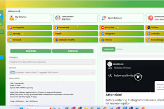 development smm website fast